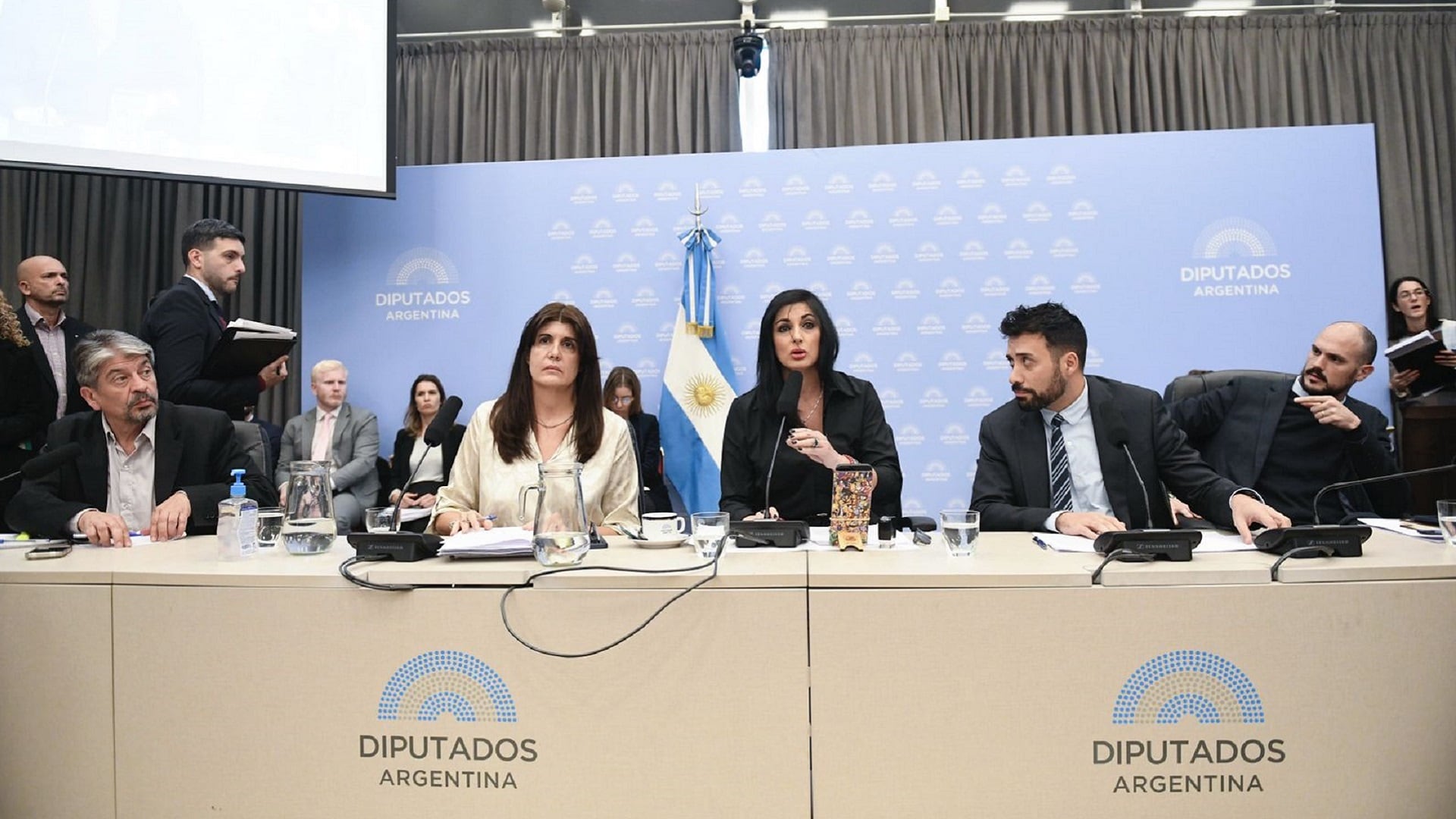 Debate sobre el Tratado de Patentes en el plenario de comisiones en la Cámara de Diputados