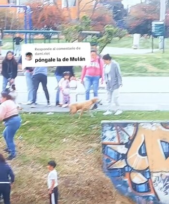 Nueve ciudadanos bogotanos formaron una