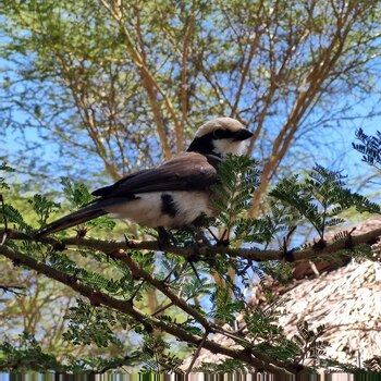 Uno de los aspectos más