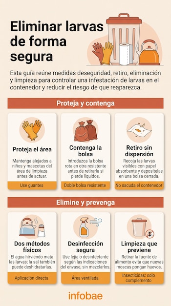 Infografía con texto e ilustraciones de guantes, bolsas de basura, papel absorbente, tetera, salero, rociador y contenedor.