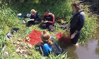 Cuatro personas con trajes de neopreno observan moluscos acumulados junto a redes rojas en la hierba a la orilla de un río