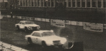 Los Toros en acción domando