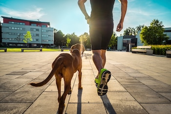 Correr con los animales de