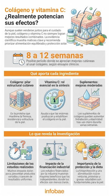 Infografía de Infobae sobre colágeno y vitamina C con gráficos de la piel, suplementos, frutas, calendario, reloj, lupa, balanza, sol, protector solar y comida.