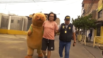 El Grupo Terna, disfrazado de un muñeco capibara, detiene a un hombre sospechoso de microcomercialización de droga en Lurín