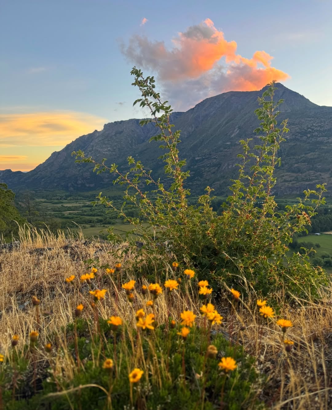 “PD: el que viene será un año glorioso”, puso la actriz en sus redes junto a una imagen de belleza de la estepa patagónica