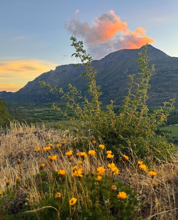 “PD: el que viene será