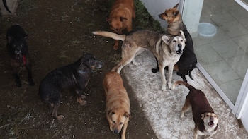 En dónde están los 900