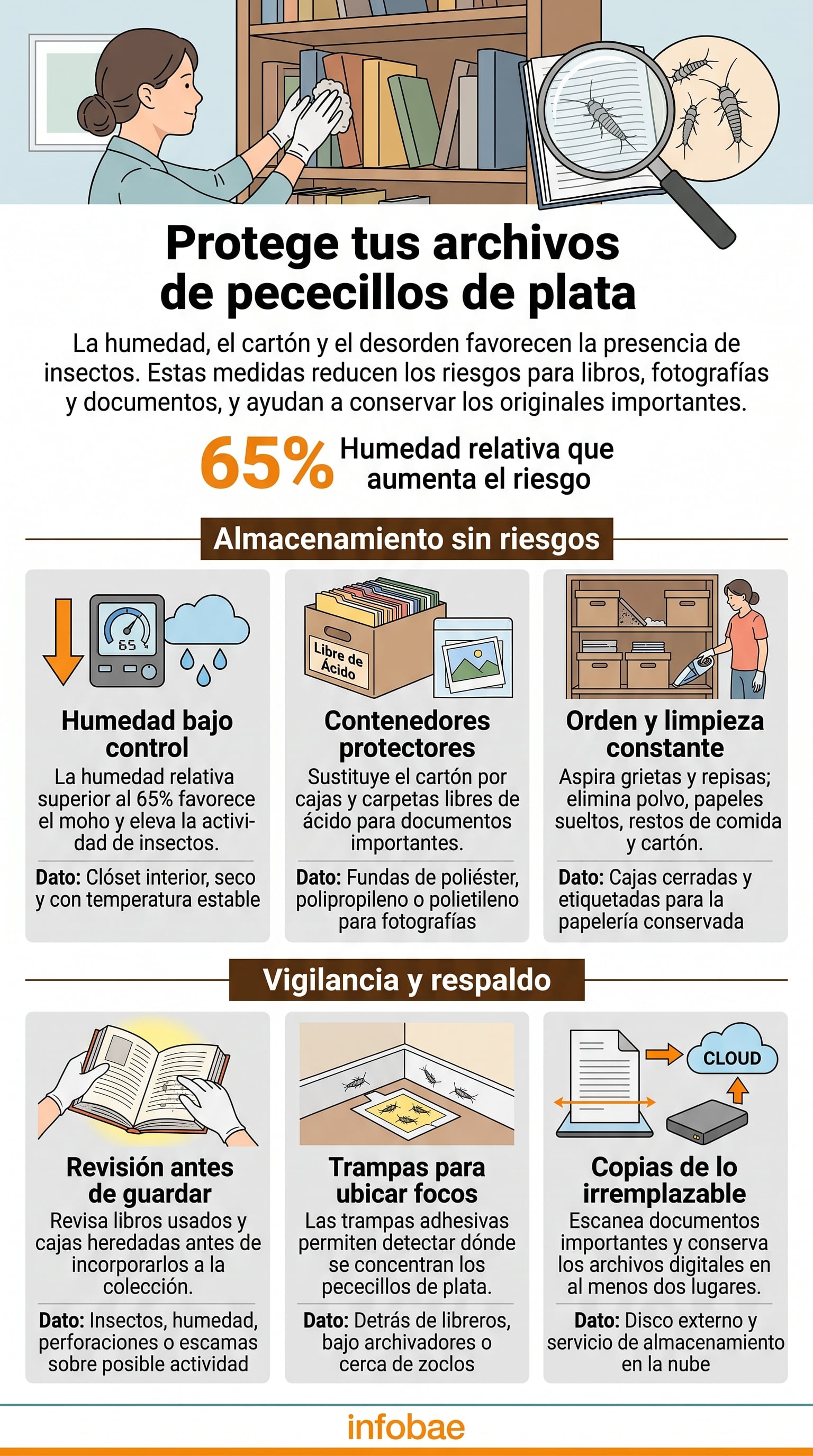 Una guía gráfica de Infobae explica cómo controlar la humedad y mantener el orden para proteger documentos y libros de la plaga de pececillos de plata. (Imagen Ilustrativa Infobae)