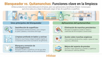 Infografía con título y texto. Ilustraciones de lavandería, productos de limpieza, cocina, baño, ropa con manchas y textiles limpios. Logo Infobae.