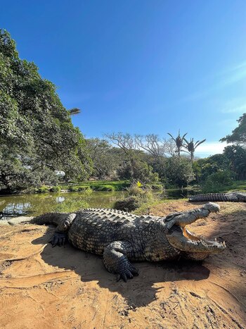 Tiene seis parejas y se estima que es padre de un aproximado de 10.000 bebés.