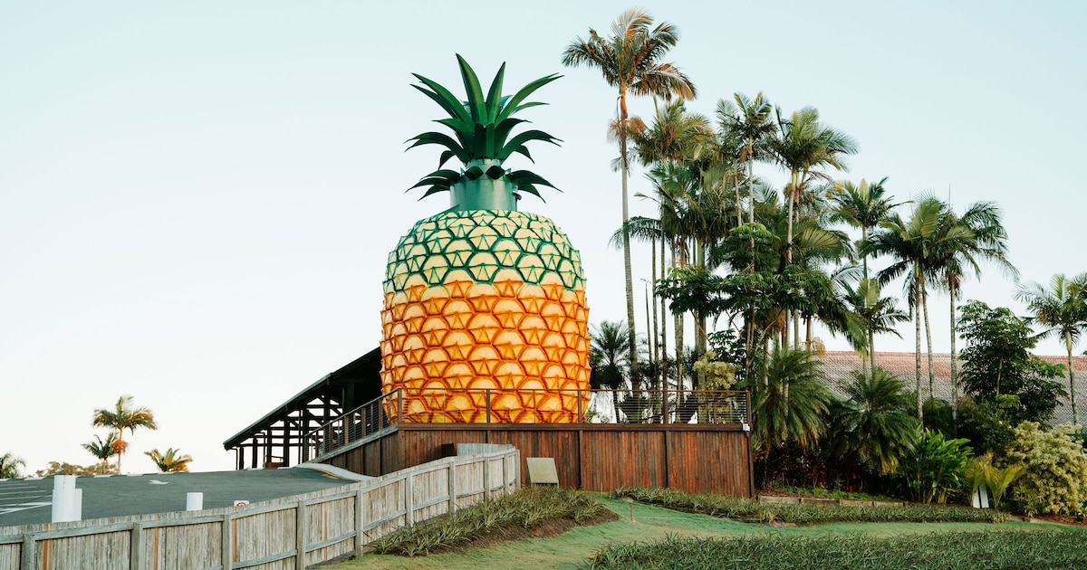 Big Pineapple là biểu tượng du lịch độc đáo cao 16 mét tại Queensland, Australia (Big Pineapple Museum) (Ảnh: infobae)