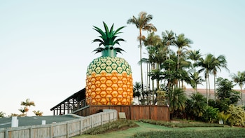 Big Pineapple, el edificio con forma de piña que batió récords y se convirtió en un símbolo turístico