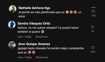 Reacciones a la fiesta canina