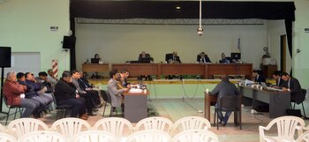 (Sebastian Fariña Petersen)