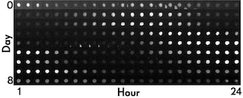 El tictac de un reloj