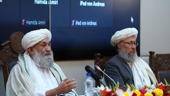 Los talibán felicitan a Trump