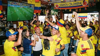 Esta es la millonada que movería el comercio en cada partido de la selección Colombia durante el Mundial: podría influir en el PIB