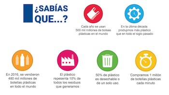 Separar residuos, evitar plásticos de un solo uso y reducir el desperdicio de alimentos son acciones cotidianas con impacto ambiental.