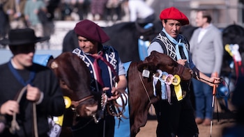 Tres hombres, dos con boinas y uno con sombrero, dirigen dos terneros de pelaje marrón oscuro con cabestros, cintas y etiquetas en las orejas