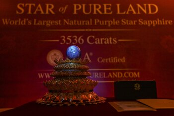 La Estrella de Tierra Pura