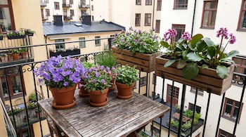 Macetas de terracota y jardineras de madera con flores moradas sobre la mesa y la barandilla de un balcón frente a edificios.