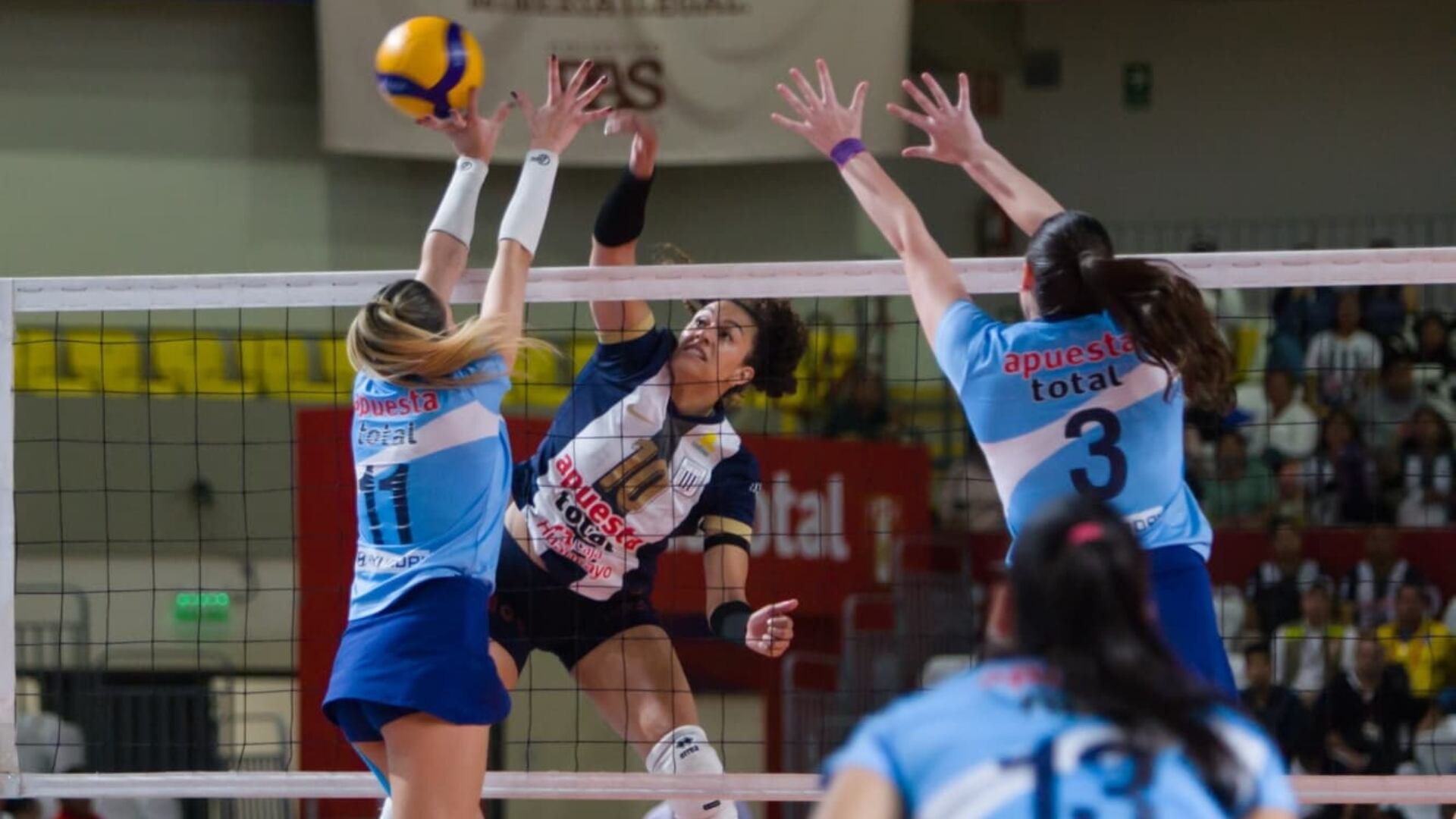 Alianza Lima y Regatas se medirán en la fecha 6. Crédito: LPV