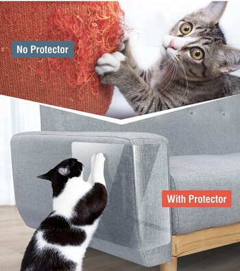 Artículos para gato en Amazon