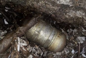 Hasta el momento, las autoridades