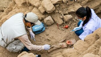 Desde 1985, el Día del