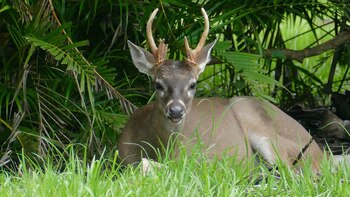 En la localidad de East