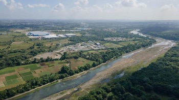 Medio Ambiente declara urgente intervenir