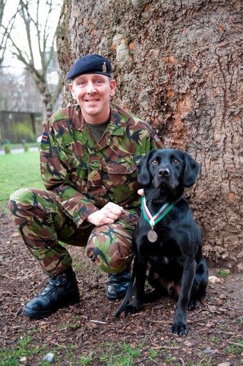 El día que Treo recibió