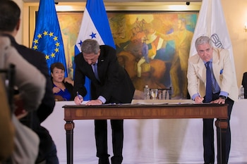 El proyecto MACH-1 fortalece las capacidades locales para cumplir normativas ambientales y facilita el acceso de pequeños y medianos productores al mercado europeo. (Foto: Casa Presidencial Honduras)