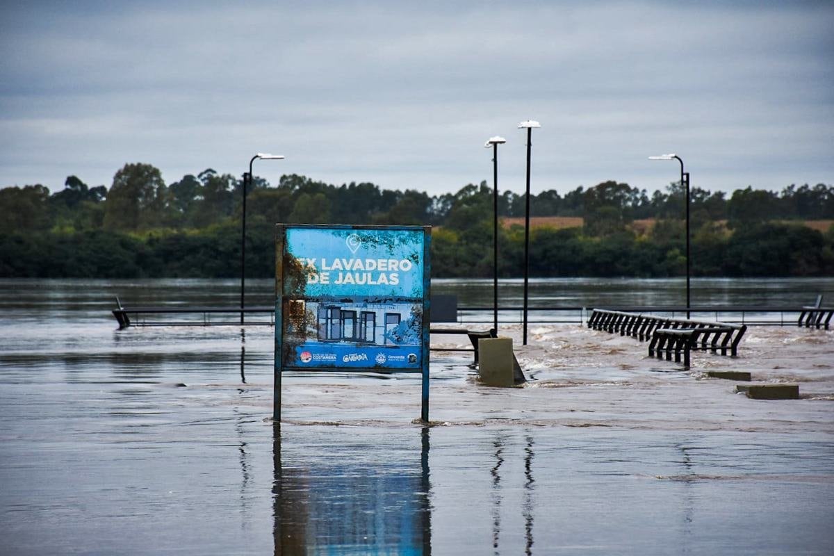 El intendente Francisco Azcué proyectó que la altura del agua podría elevarse hasta los 12,50 metros durante la próxima semana (Gentileza: Diario Río Uruguay)
