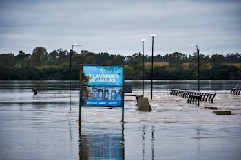 El intendente Francisco Azcué proyectó que la altura del agua podría elevarse hasta los 12,50 metros durante la próxima semana (Gentileza: Diario Río Uruguay)