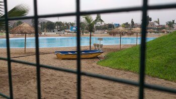 Botes y palmeras son algunos