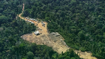 Miembros de la comunidad saamaka vigilan áreas remotas de su territorio histórico ante el avance de actividades extractivas (AP)