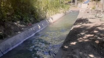 Identificaron a la mujer hallada