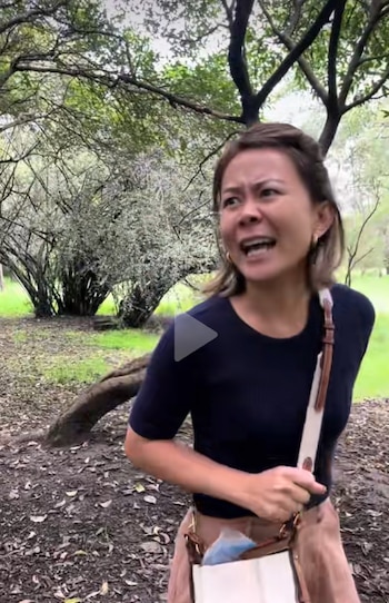 La discusión fue captada en el Bosque de Chapultepec y posteriormente se volvió viral por las expresiones utilizadas durante el enfrentamiento.