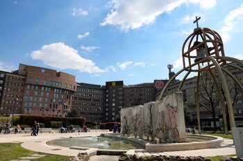 El hospital San Raffaele en