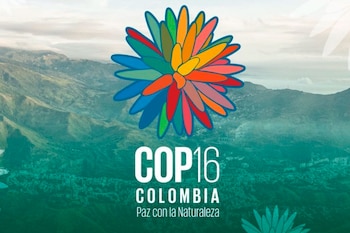La recién inaugurada zona verde de la COP16 en Cali será un espacio donde visitantes podrán participar en actividades interactivas enfocadas en la protección del medioambiente - crédito COP16