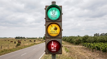Un semáforo en un camino rural muestra íconos y textos de ganado bovino en verde, peras y manzanas en amarillo y vino en rojo.