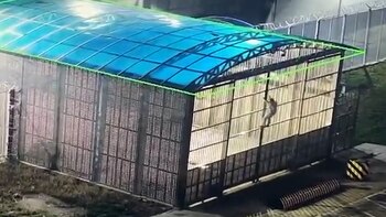 El momento en que trepa