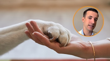 Un abogado aclara si se