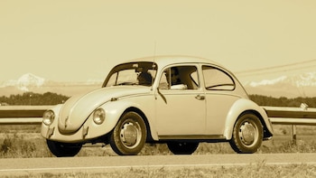 Día Internacional del Volkswagen Escarabajo: por qué y desde cuándo se conmemora la fecha que recuerda el origen del “auto del pueblo”