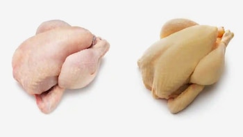 Color del pollo y características