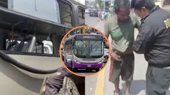 Cinco buses del Corredor Morado