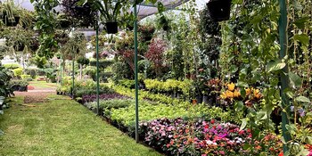 Secretaría de Turismo de la