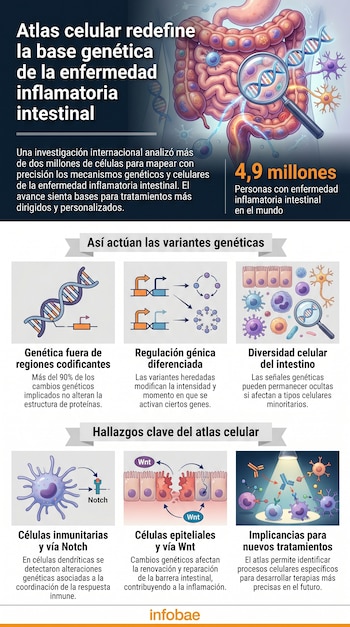 Ilustración detallada del intestino humano con una lupa enfocando una cadena de ADN y varias células, representando la investigación genética.